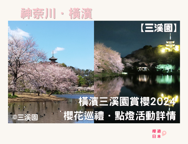 2024 橫濱三溪園賞櫻︱櫻花巡禮．點燈活動詳情 - 日本