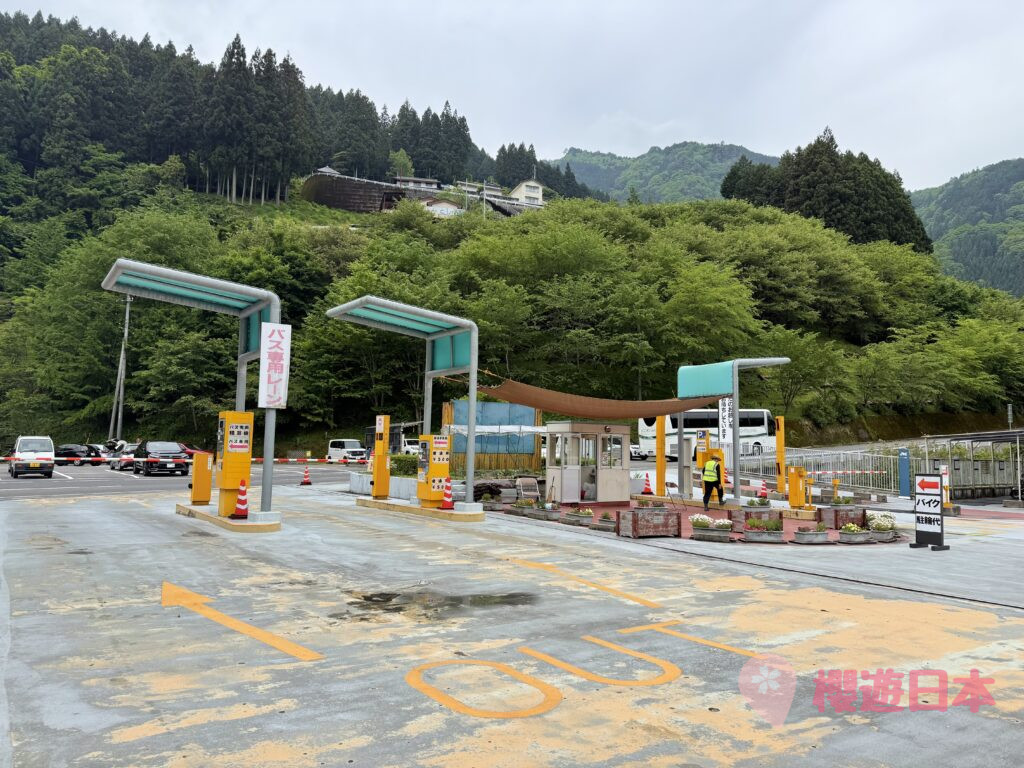 德島秘境探險|漫步在藤蔓上的勇氣試煉!—— 祖谷藤蔓橋【含交通&門票資訊&自駕建議】 - 大自然景點, 德島景點, 日本, 日本自駕