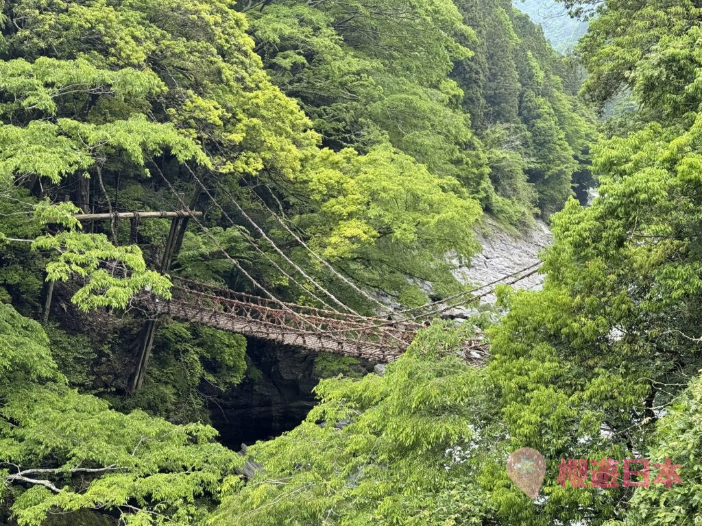 德島秘境探險|漫步在藤蔓上的勇氣試煉!—— 祖谷藤蔓橋【含交通&門票資訊&自駕建議】 - 大自然景點, 德島景點, 日本, 日本自駕
