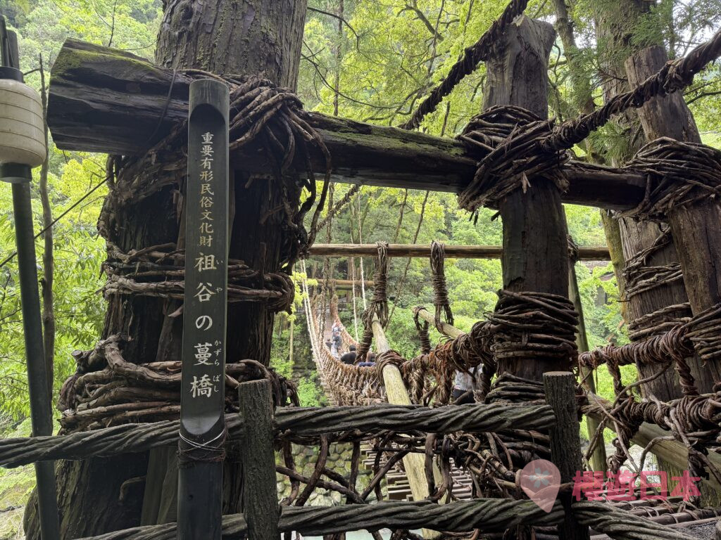 德島秘境探險|漫步在藤蔓上的勇氣試煉!—— 祖谷藤蔓橋【含交通&門票資訊&自駕建議】 - 大自然景點, 德島景點, 日本, 日本自駕
