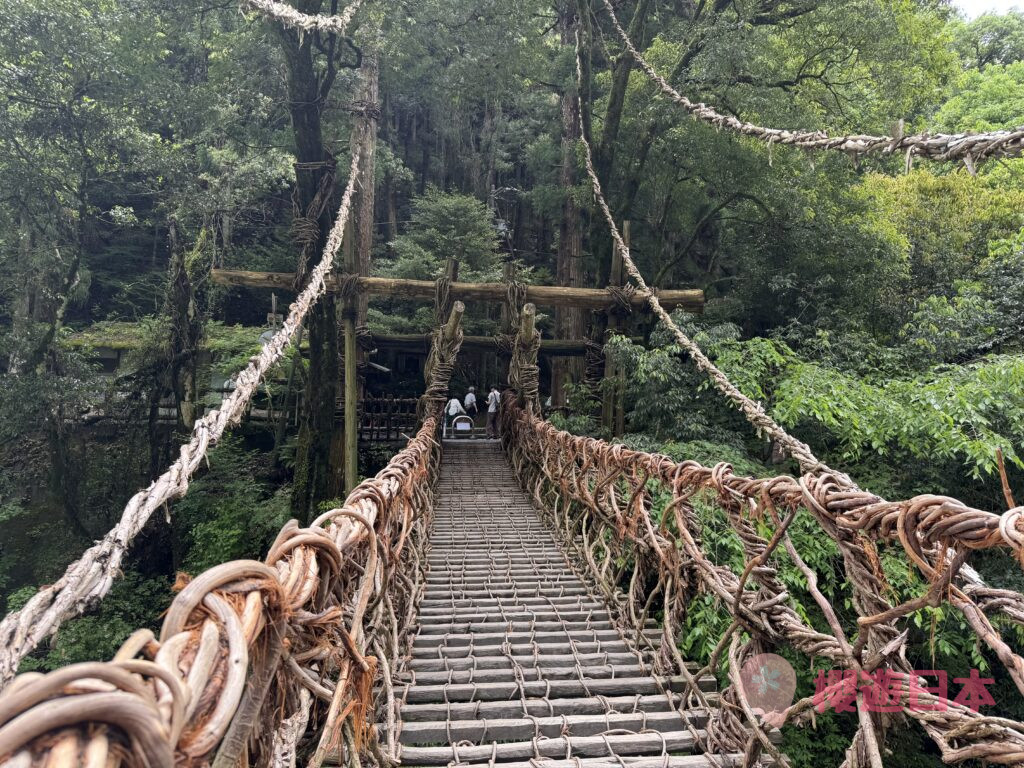 德島秘境探險|漫步在藤蔓上的勇氣試煉!—— 祖谷藤蔓橋【含交通&門票資訊&自駕建議】 - 大自然景點, 德島景點, 日本, 日本自駕