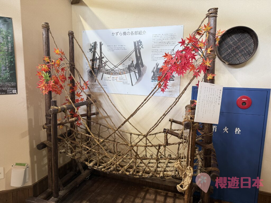 德島秘境探險|漫步在藤蔓上的勇氣試煉!—— 祖谷藤蔓橋【含交通&門票資訊&自駕建議】 - 大自然景點, 德島景點, 日本, 日本自駕