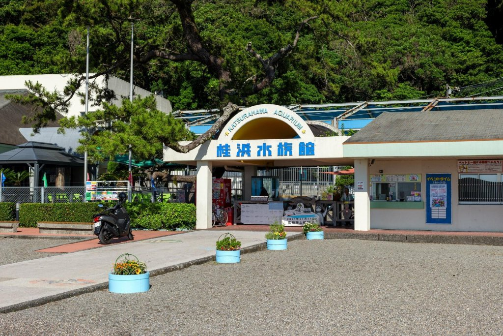 高知必去絕景|海風與歷史交織的桂濱散策指南【附交通&景點介紹】 - 四國自駕, 大自然景點, 日本自駕, 歷史建築, 自駕遊