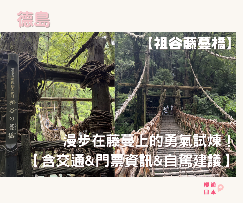 德島秘境探險｜漫步在藤蔓上的勇氣試煉！—— 祖谷藤蔓橋【含交通&門票資訊&自駕建議】 - 大自然景點, 德島景點, 日本, 日本自駕