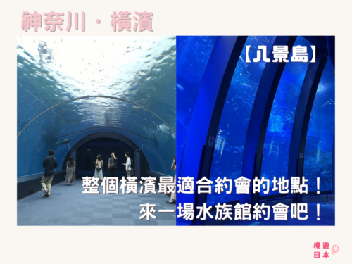 【八景島】觀光指南．攻略︱整個橫濱最適合約會的地點！？ー 來一場水族館約會吧！ - 水族館專欄